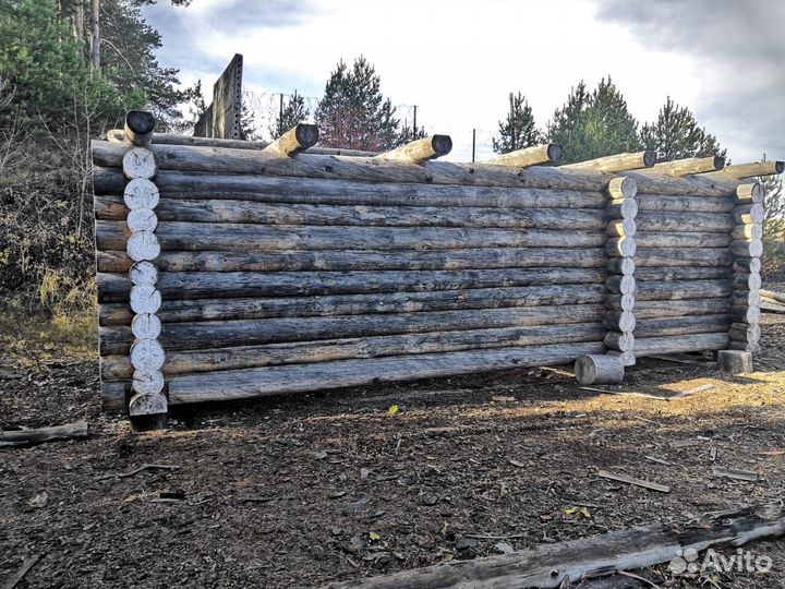 Сруб для бани из сосны 8х3