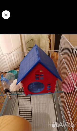 Клетка для грызунов большая с предметами ухода