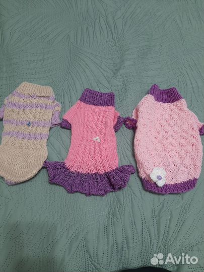 Вязаная одежда для мелких пород собак