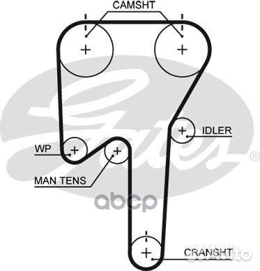 146x28 HSN Ремень грм 5553XS Gates