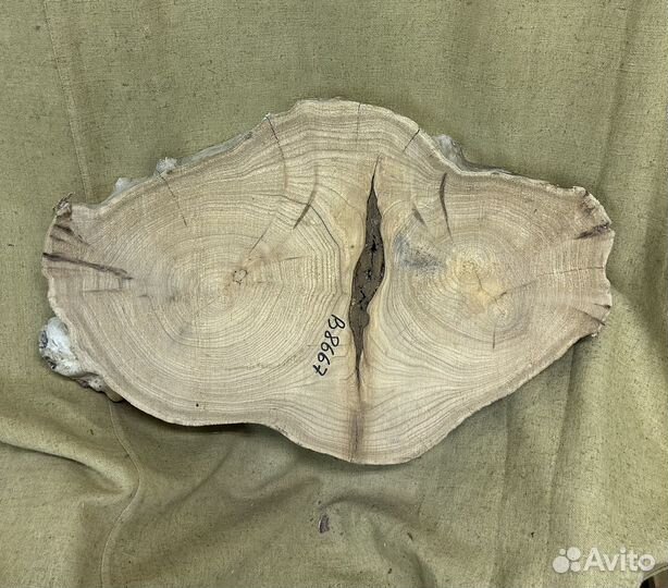 Спил карагача