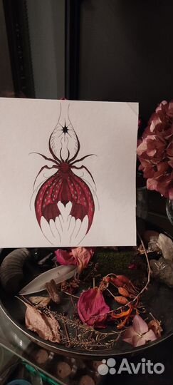 Бабочка паук, рисунок 18 на 20 см