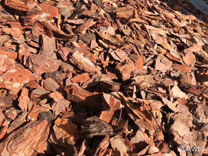 Кора сосновая