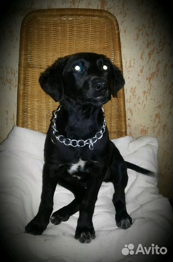 Малышка Эвочка