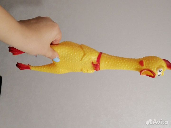 Игрушки для собак