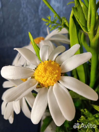 Предметы интерьера, искусство