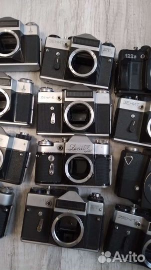 Тушки зенит 40шт