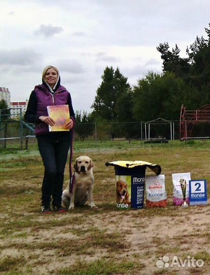 Дрессировка собак.Обучение владельцев.Передержка