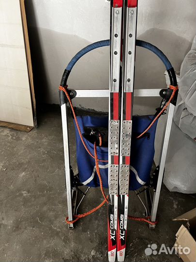 Нарты для собак