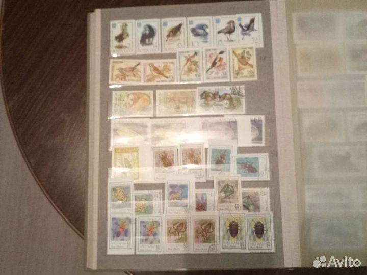 Альбом животные разные страны 10страниц