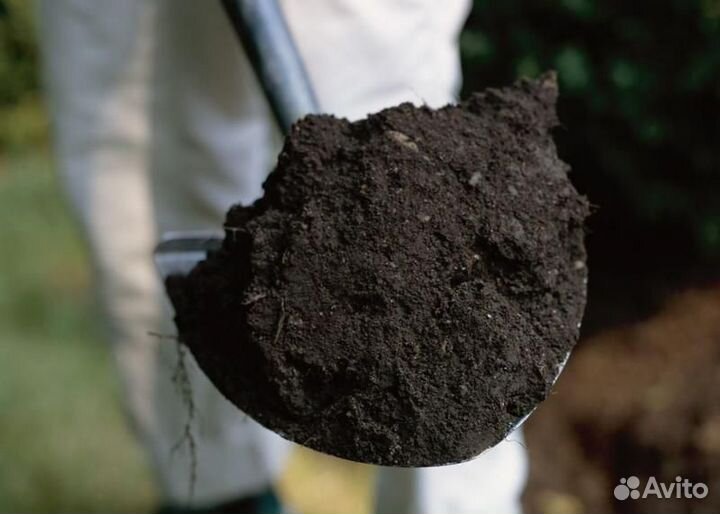 Чернозем из рязани