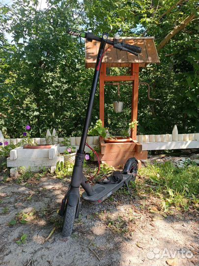 Электросамокат Xiaomi Mijia M365