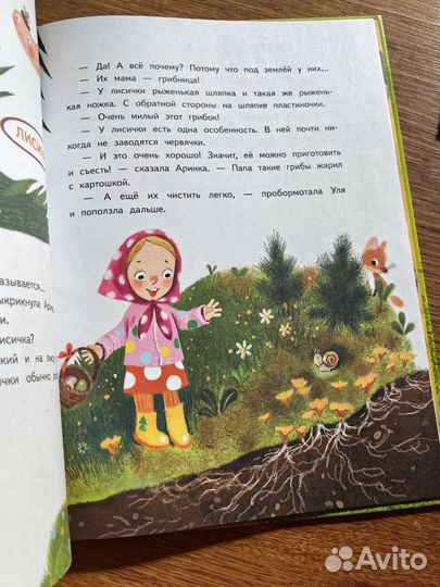 Грибы и улитка книга детская