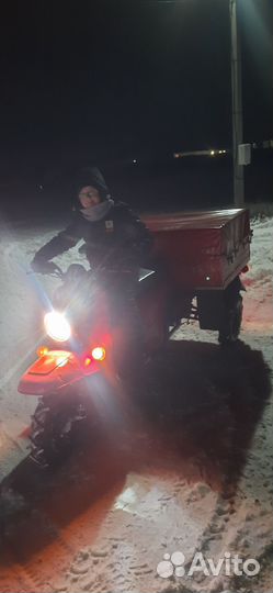 Мотороллер муравей