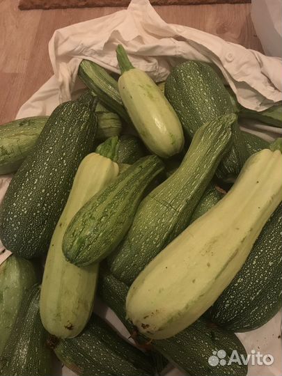 Кабачки,цукини