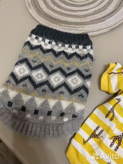 Одежда для собак