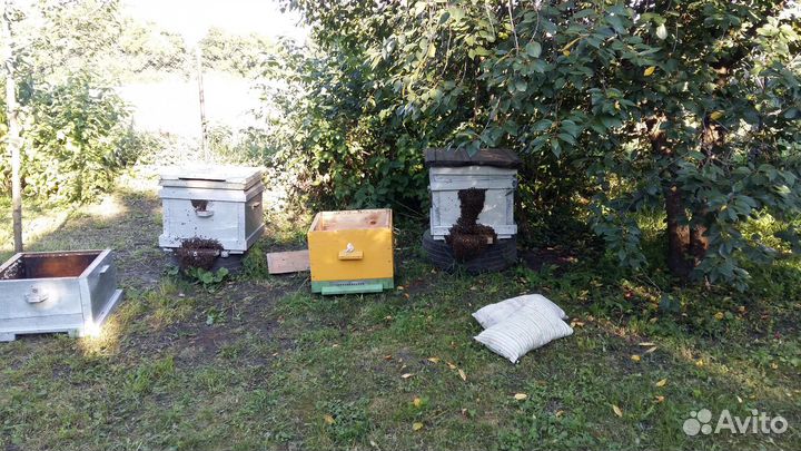 Улей, рамки, роевня, ловушка, кормушки