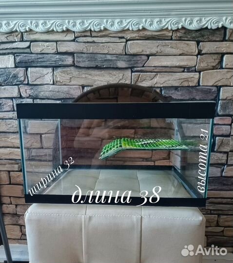 Аквариум(акватеррариум)