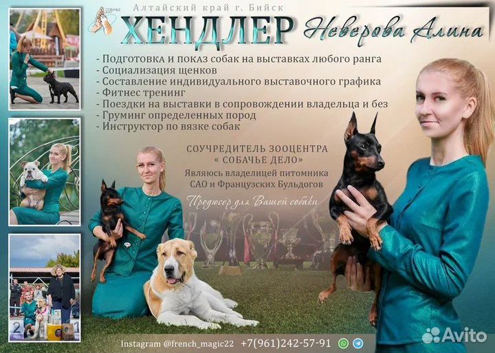 Услуги хендлера