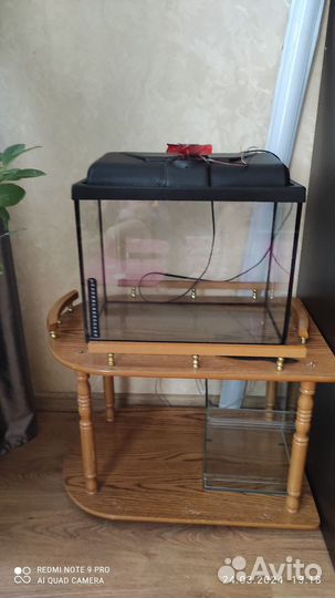 Аквариум террариум