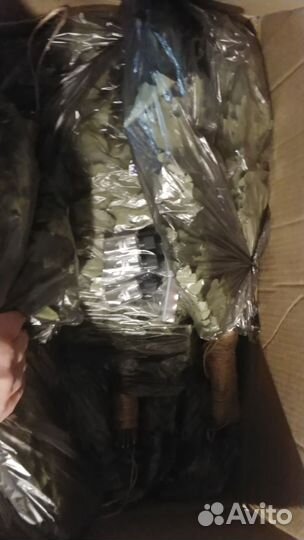 Веники дубовые