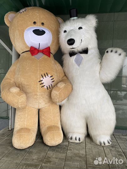 Белый медведь /единорог/зайка/поздравление