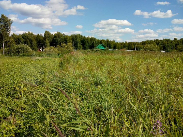 Участок 21 сот. (СНТ, ДНП)