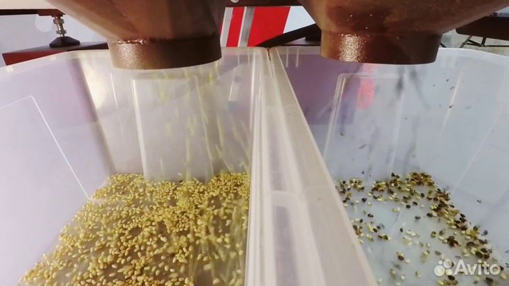 Производство по очистке, сушке и фасовке орехов