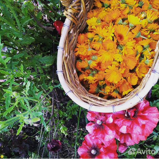 Продам корзины