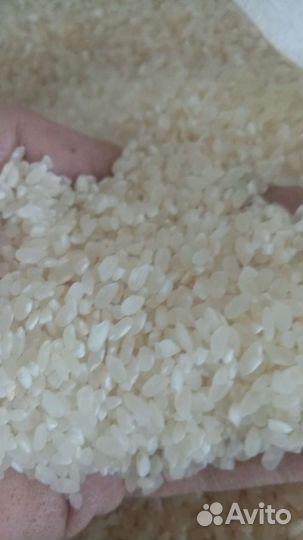 Гречка, пшено, рис, гречневый продел, рис