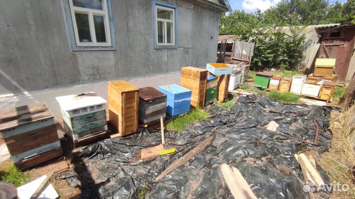 Продам улья дадан
