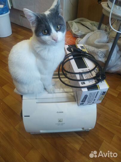 Лазерный принтер canon