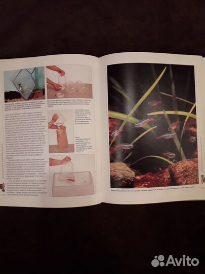 Энциклопедия Аквариумные рыбки 256 страниц