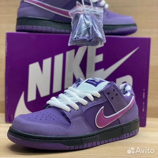 Nike sb dunk low purple lobster