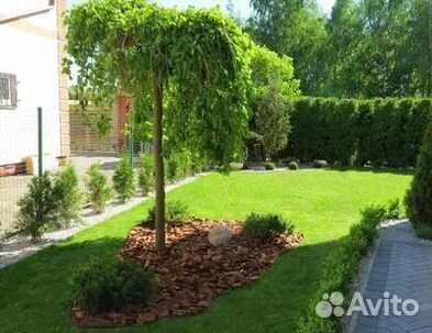 Газон от производителя