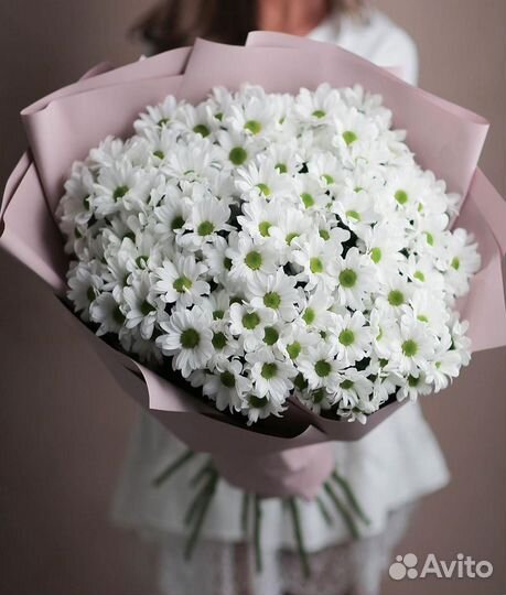 Букет хризантем 15 шт доставкой Иркутск