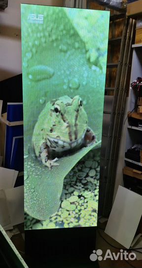 Видеоэкран