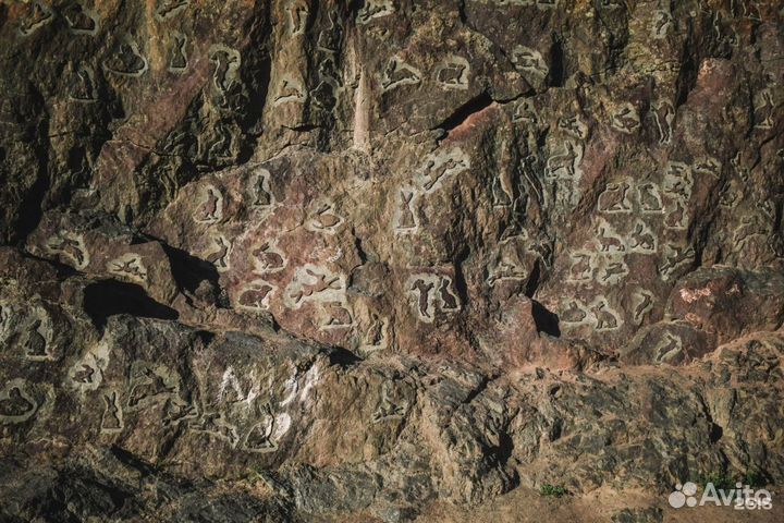 Шунгит центр,Кивач,Марциальные воды,Долина зайцев
