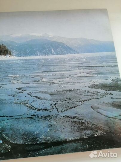 Фотоальбом Алтайский заповедник