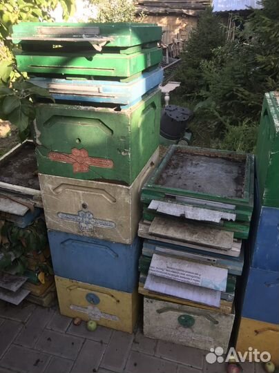 Улики ростов пенополистерол дадан на 10 рамок