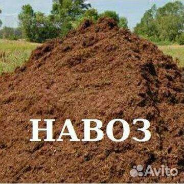 Навоз