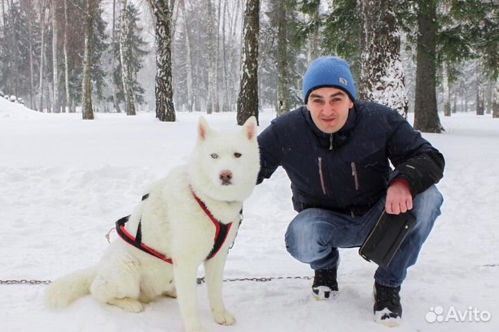 Бригадир, старший смены