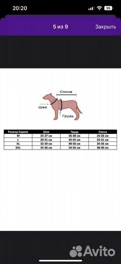 Дождевик для собак мелких пород