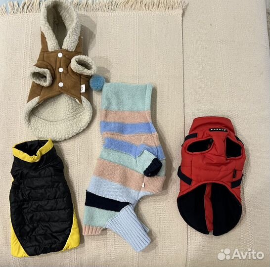 Puppia одежда для маленькой собаки