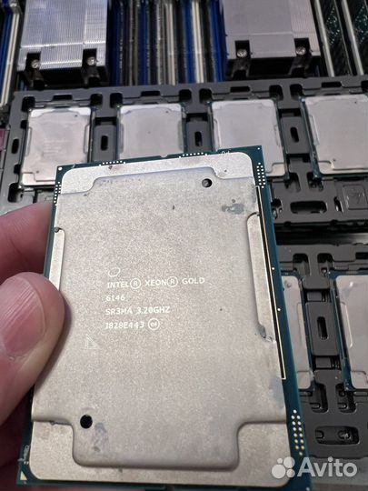 Процессор gold 6146 для сервера 1с 3,2ghz