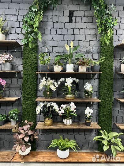 Искуственные растения и деревья, озеленение декор