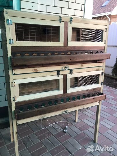 Брудер для цыплят