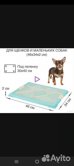 Лоток туалет для собак