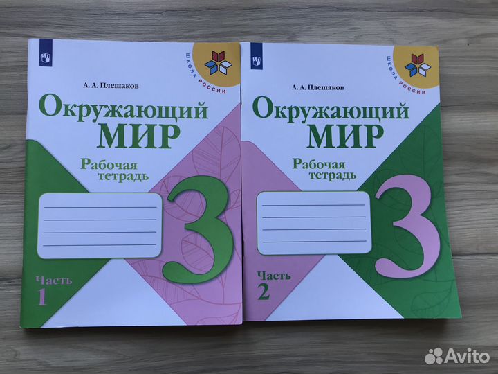 Рабочая тетрадь 3 класс по окружающему миру
