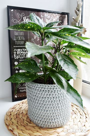 Кашпо для цветов вязаное, корзинка для цветка